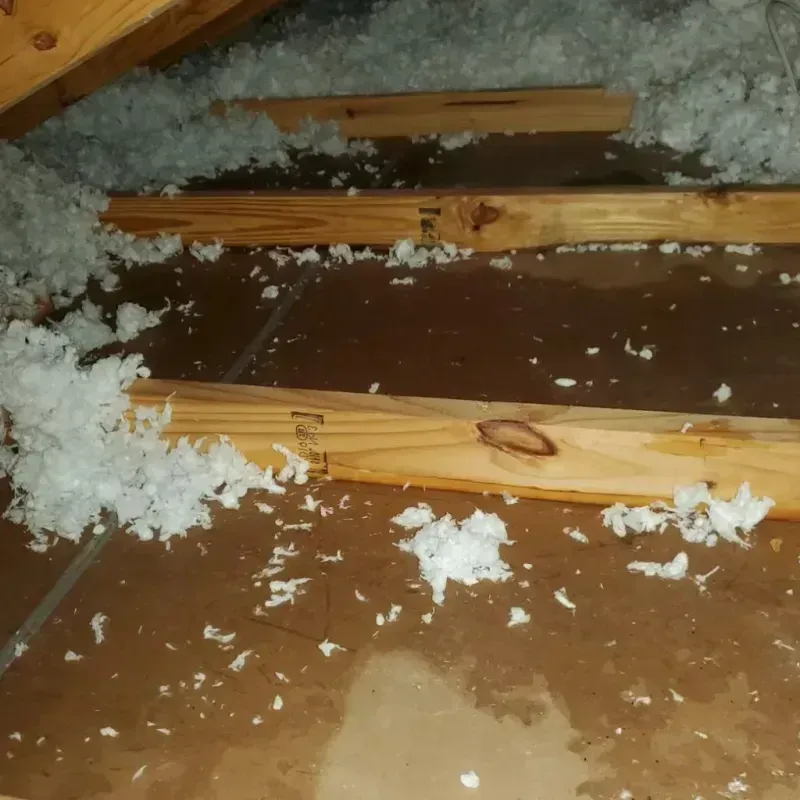 Attic Water Damage in Spring Valley, CA