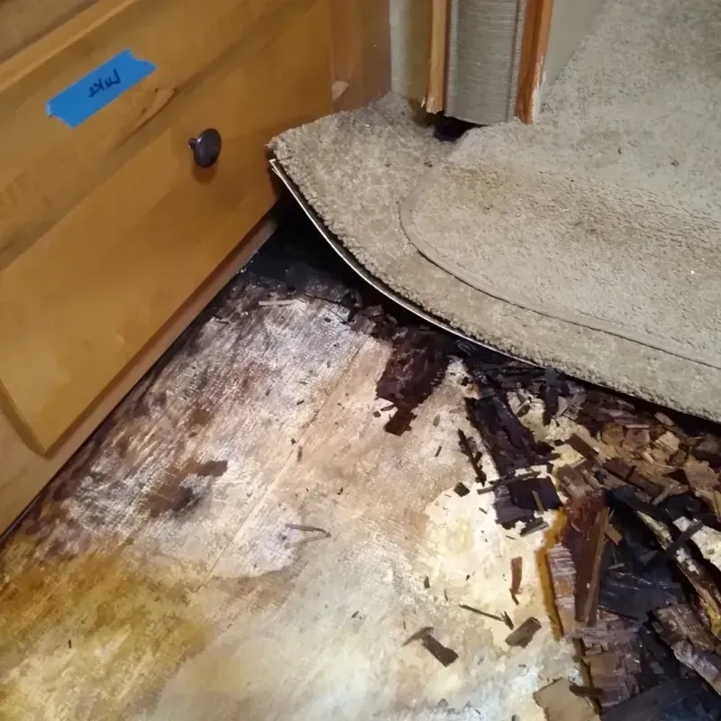 Wood Floor Water Damage in Spring Valley, CA